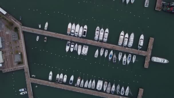 Arriba Aérea Abajo Yates Amarrados Muelle Del Puerto Cruceros Punta — Vídeo de stock