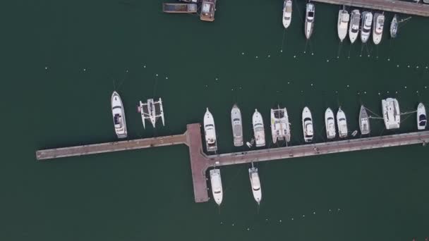 Båtar Förtöjda Vid Piren Kryssningshamnen Punta Del Este Uruguay Flyg — Stockvideo