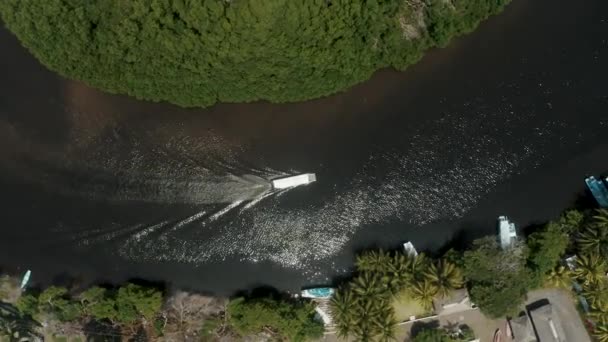Туристическая Лодка Парусный Спорт Реке Тропическом Тропическом Лесу Эль Паредон — стоковое видео