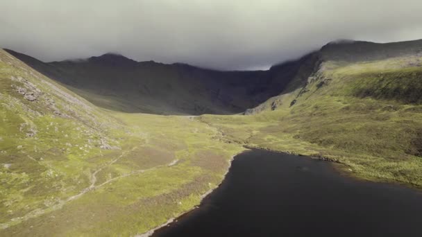 Schöne Antenne Eines Kleinen Flusses Mit Einem Ast Gras Bedeckte — Stockvideo