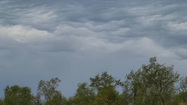 Spettacolare Mosca Uccello Cielo Nuvoloso Vista Panoramica Luce Diurna — Video Stock