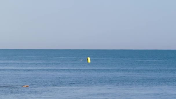 Pływak Oceaniczny Pływający Wokół Żółtej Boi Blue Open Water Australia — Wideo stockowe