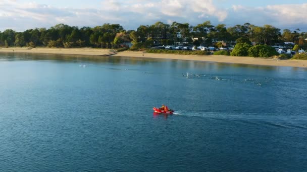 Aerial Drone Surf Life Savers Boat Nadzorujący Szkolenie Pływaków Oceanie — Wideo stockowe