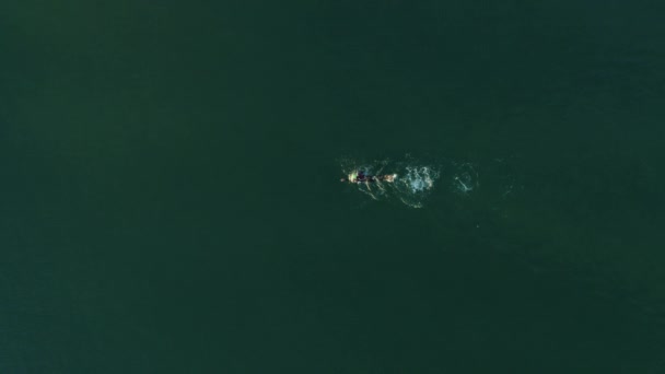 Letecký Dron Shora Dolů Pohled Profesionální Sportovec Plavání Sám Otevřeném — Stock video