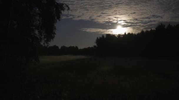 農村部の牧草地を移動する雲のシートの毛布としての映画的な気分 満月の時間の経過 — ストック動画