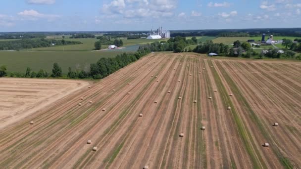 Visszafelé Emelkedő Drón Lövés Ontario Gazdaságok Késő Nyáron Szénaboglyák Silók — Stock videók