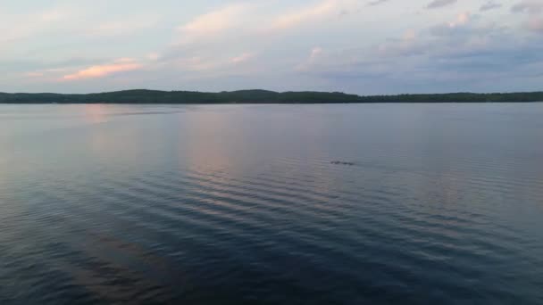 Видео Беспилотников Плавающих Озере Онтарио Облаками Отражающимися Воды Закате — стоковое видео