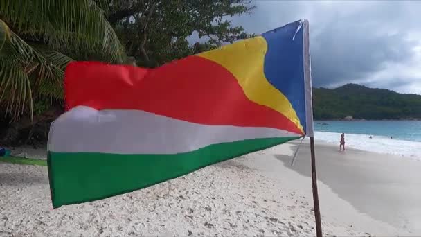 带着棕榈树和海洋在海滩上飘扬的塞舌尔国旗 — 图库视频影像