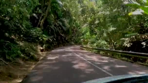 Conduciendo Través Densa Selva Verde Hasta Las Colinas Través Del — Vídeo de stock