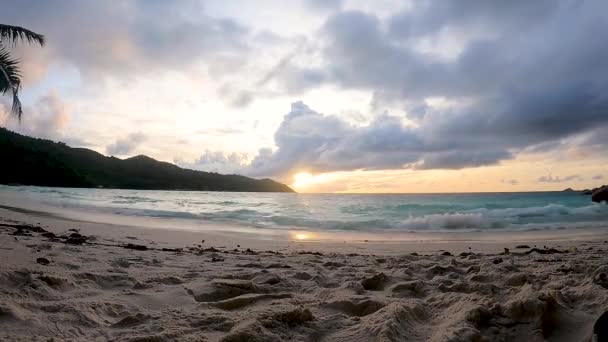 塞舌尔普拉斯林岛上的Anse Lazio热带海滩上 沙子和棕榈树 夕阳西下 — 图库视频影像