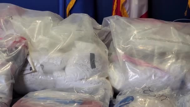 麻薬取締局はカルテルから大量の違法薬物を押収した — ストック動画