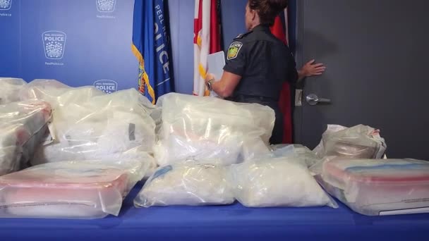 Konfiskerade Droger Peel Police Mississauga Kanada Projekt Krigare Meth Fentanyl — Stockvideo