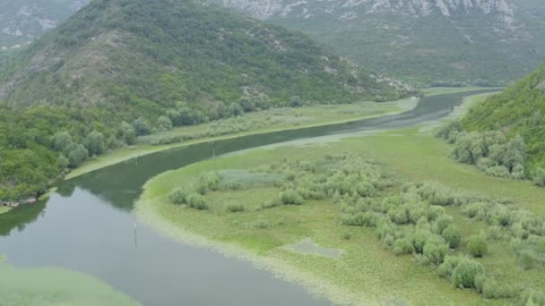 Drone Που Πετά Πάνω Από Διάσημη Λίμνη Skadar Μεταξύ Λοφώδη — Αρχείο Βίντεο