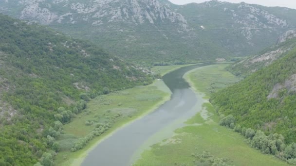 Drohne Fliegt Über Den Skadar See Zwischen Grünen Hügeln Und — Stockvideo