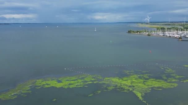 Lindo Drone Aéreo Disparado Sobre Stellendam Porto Barcos São Atracados — Vídeo de Stock