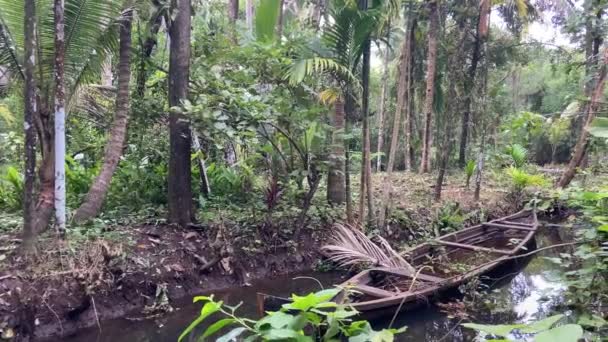 印度森林景观中被遗弃的木制独木舟残骸 — 图库视频影像