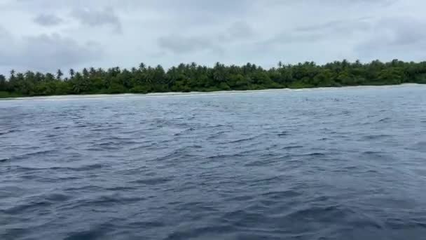Plage Tropicale Sauvage Avec Jungle Exotique Palmiers Croisière Bateau Maldives — Video