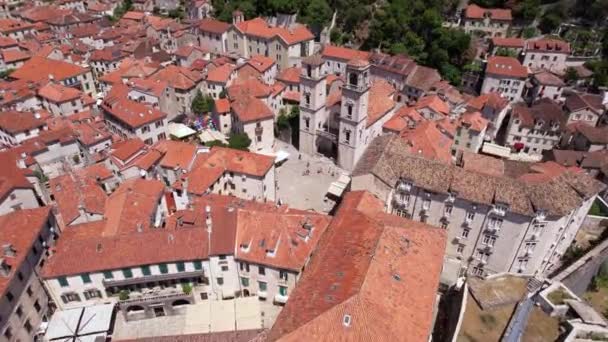 Katedrala Svetog Tripuna Kotor Μαυροβούνιο Αεροφωτογραφία Του Καθολικού Καθεδρικού Ναού — Αρχείο Βίντεο