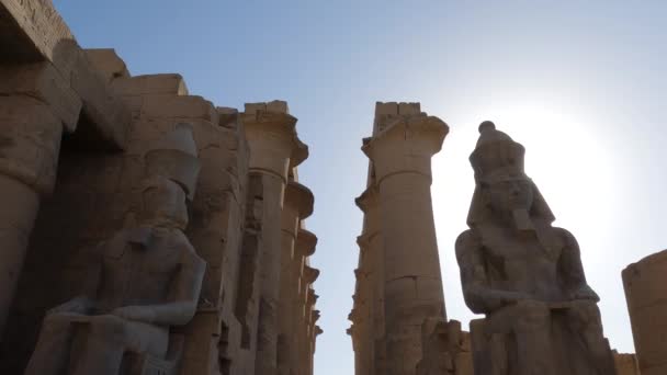 エジプトの低角度ビュー ルクソール神殿での砂岩の列と彫像Silhouete — ストック動画