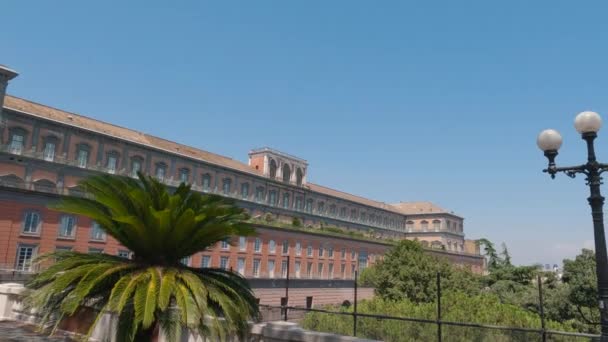 Widok Fasadę Pałacu Królewskiego Neapolu Dziedziniec Pałacu Palmą — Wideo stockowe
