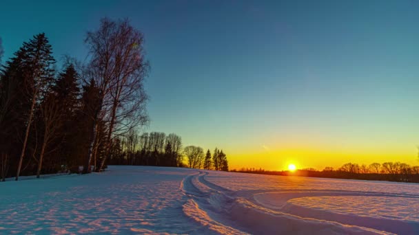 Лапс Яскравого Сонця Сідає Горизонті Снігового Лісу Магічні Кольори — стокове відео