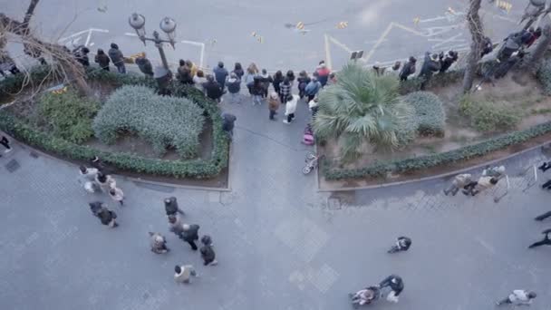 西班牙瓦伦西亚的圣安东尼方丈节期间街上人山人海的俯瞰 空中射击 — 图库视频影像