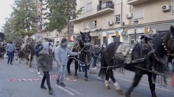 Άνθρωποι Και Άλογα Παρελαύνουν Στο Δρόμο Κατά Διάρκεια Του Αγίου — Αρχείο Βίντεο