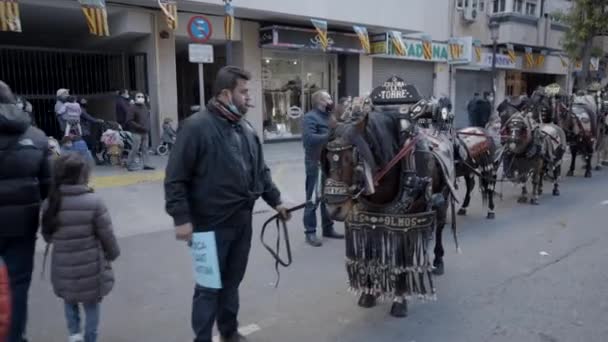 Schöne Pferde Zeremoniellen Geschirr Bei Der Segnung Der Tierparade Valencia — Stockvideo