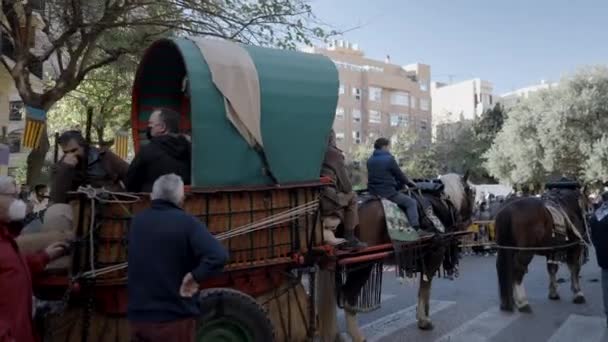 Pferdekutsche Geschirr Bei Der Segnung Der Tierparade Fest Des Heiligen — Stockvideo