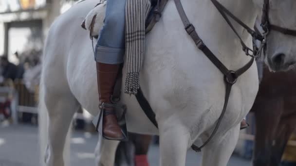 Mann Reitet Auf Einem Weißen Pferd Auf Der Straße Beim — Stockvideo