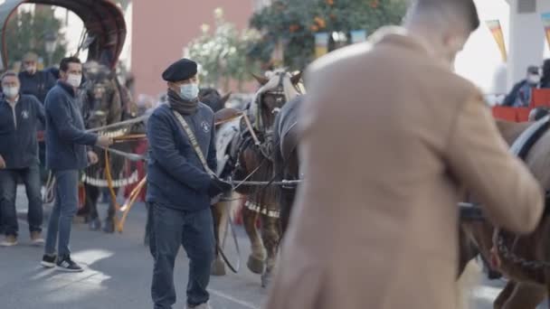 Spanska Folket Med Sina Hästar Och Kärror Traditionell Festival San — Stockvideo