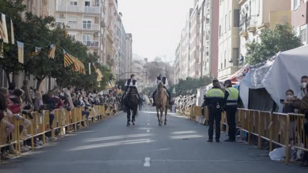 Caballo Desfile Durante Fiesta San Antonio Abad Valencia España Amplia — Vídeos de Stock