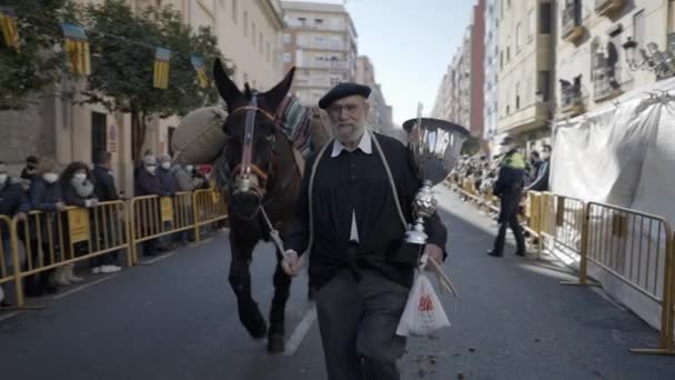 幸せな老人は サンアントニオ アバド フェスティバル中にスペインのバレンシアの街で馬と一緒にシルバートロフィーウォーキングを開催します 終わりだ — ストック動画