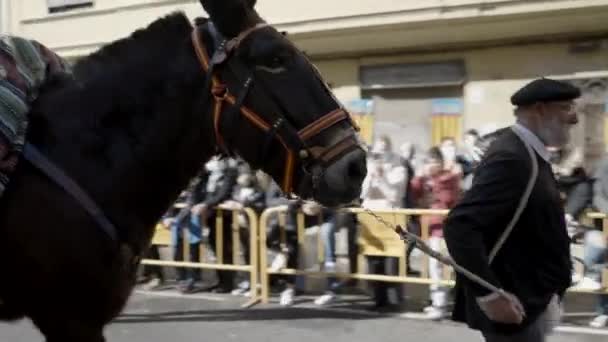 スペインのバレンシアで開催されるサンアントニオ アバド フェスティバルの間に大きなトロフィーを運ぶ馬を持つ髭の男の肖像画 — ストック動画