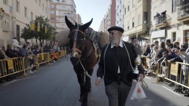 高齢者は シルバートロフィーを保持します 彼の馬と一緒に歩いて バレンシアの街で人々を見ながら笑顔 サンアントニオ アバド フェスティバル中にスペイン 終わりだ — ストック動画