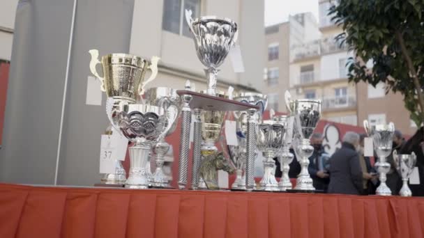 Trofea Wyświetlane Stole Dla Zwycięzców Podczas Festiwalu Sant Antoni Walencji — Wideo stockowe