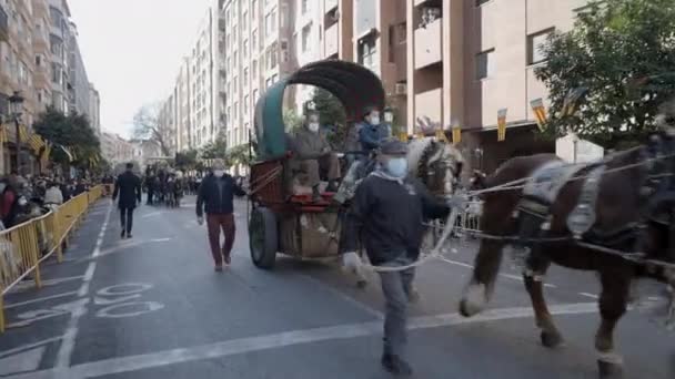 スペインのバレンシアで守護聖人サンアントニオアバドの祭りの間に路上で馬パレード トラッキングショット — ストック動画
