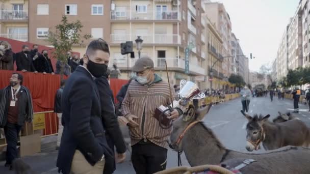 Personas Acariciando Cabeza Burro Con Hombre Sosteniendo Trofeo Calle Durante — Vídeos de Stock