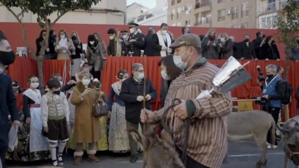 スペインのサンアントニオ アバド フェスティバルのお祝いの間にトロフィーを保持しているロバの男性ヘッダー 終わりだ — ストック動画
