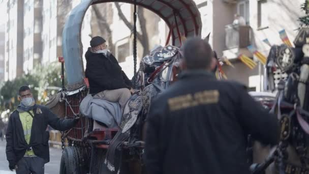 馬車のハーネスを身に着けている馬と動物のパレード聖アンソニー アボット バレンシア スペイン — ストック動画