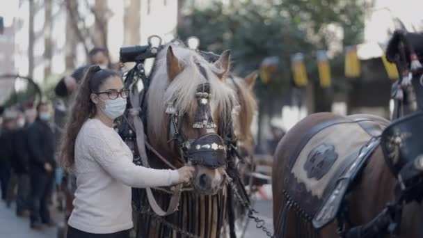 スペインのバレンシアで動物の祝福の年次イベント中にハーネスとブリンカーで馬を保持女性 — ストック動画