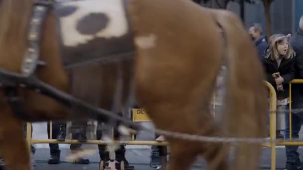 Horse Parade Nella Strada Valencia Con Giovani Ragazze Piedi Sulla — Video Stock