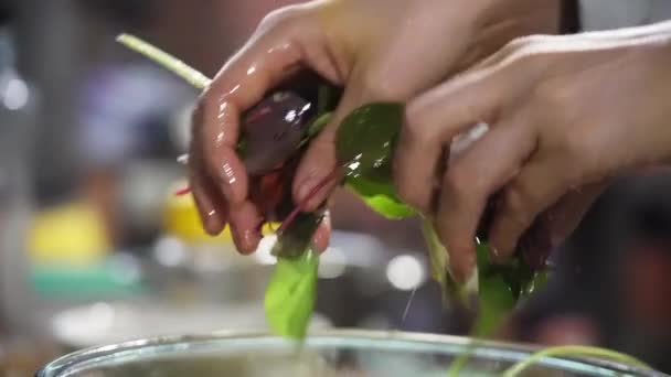 Mani Chef Femminile Facendo Una Ciotola Insalata Vegana Foglia Verde — Video Stock