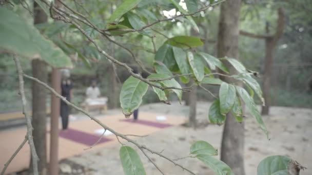 Out Focus Shot Van Forest Retraite Yoga Sessie Goa India — Stockvideo