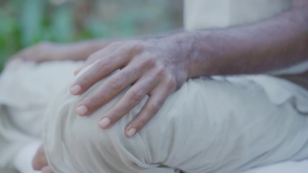 彼はヨガセッションを開始すると瞑想ポーズでインドのヨガインストラクター — ストック動画