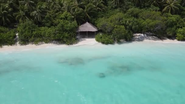 Dron Záběr Dřevěnou Kůlnu Ukrytou Stromech Tropickém Ostrově Maldivian Pláži — Stock video