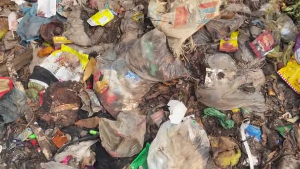 Arka Plandaki Trafiği Ortaya Çıkarmak Için Yukarı Doğru Eğilmiş Çöp — Stok video