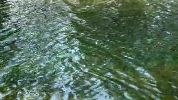 Background Clear Green River Water Flowing Slowly — Stock Video