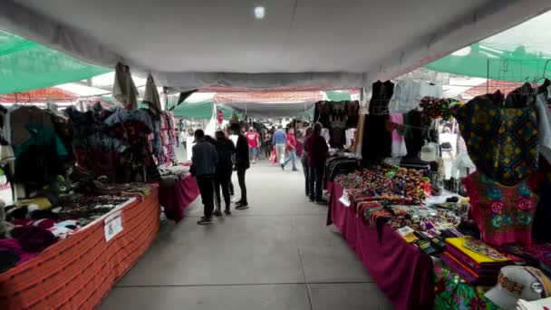Tiro Mercado Artesanías Indígenas Zócalo Ciudad México — Vídeos de Stock