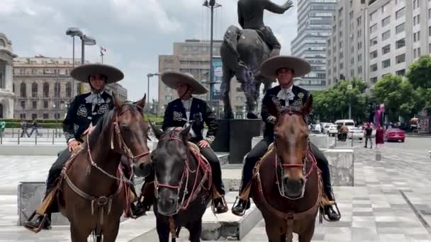 Ujęcie Montowanej Policji Koniu Centrum Alameda Meksyku — Wideo stockowe
